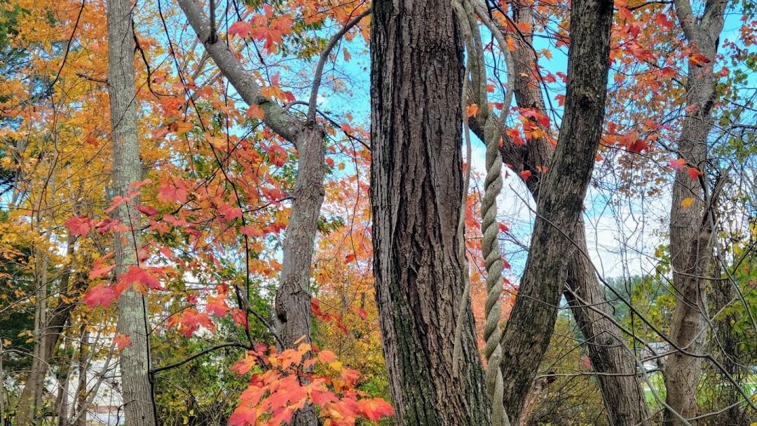 Acton, MA
