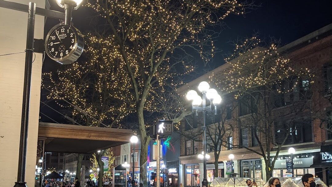 Ann Arbor, MI