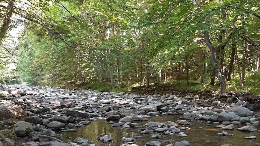 Berlin, VT