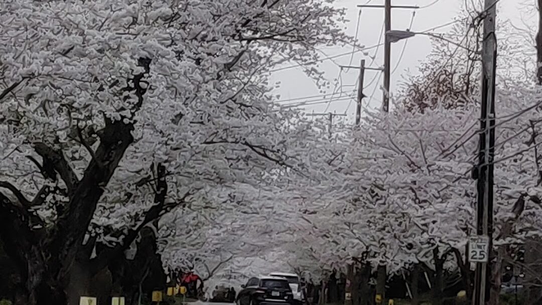 Bethesda, MD