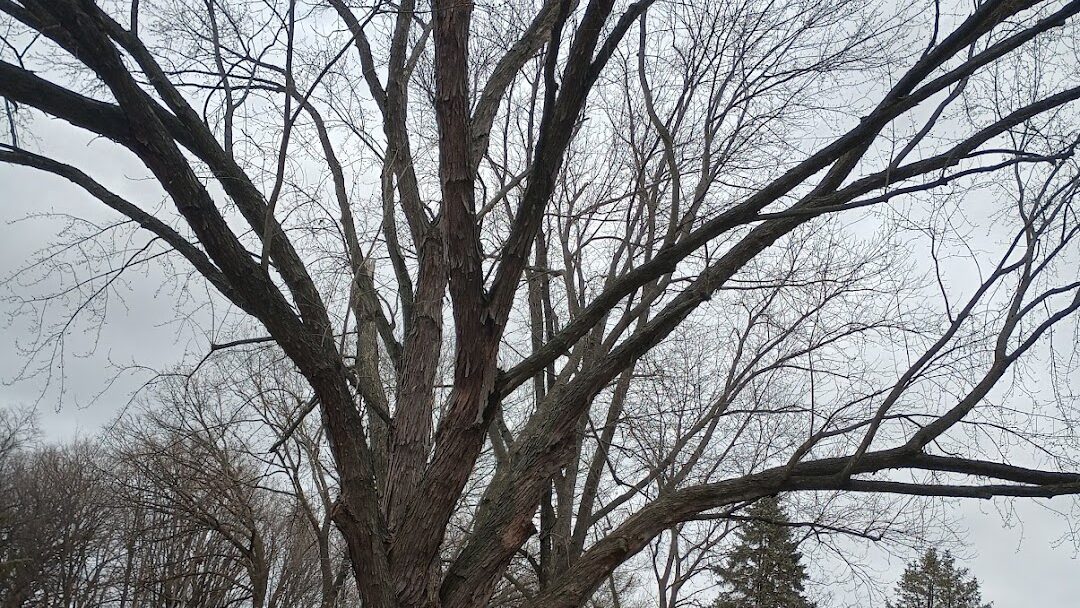 Brookfield, WI