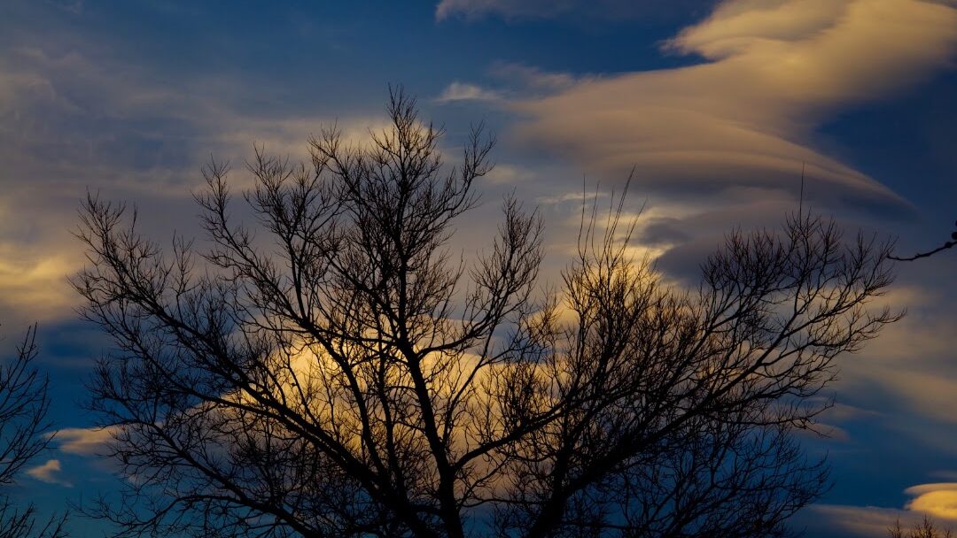 Broomfield, CO