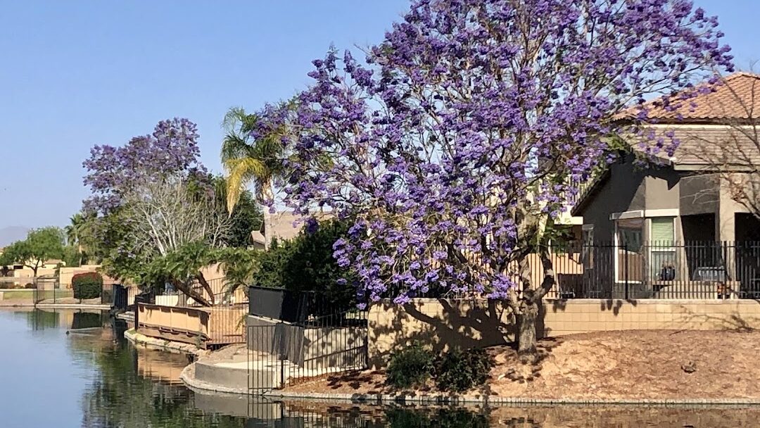 Chandler, AZ