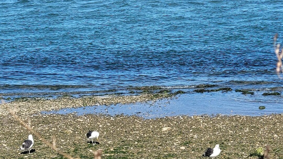 Chatham, MA