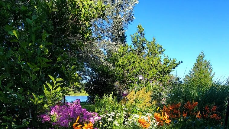 Cheboygan, MI