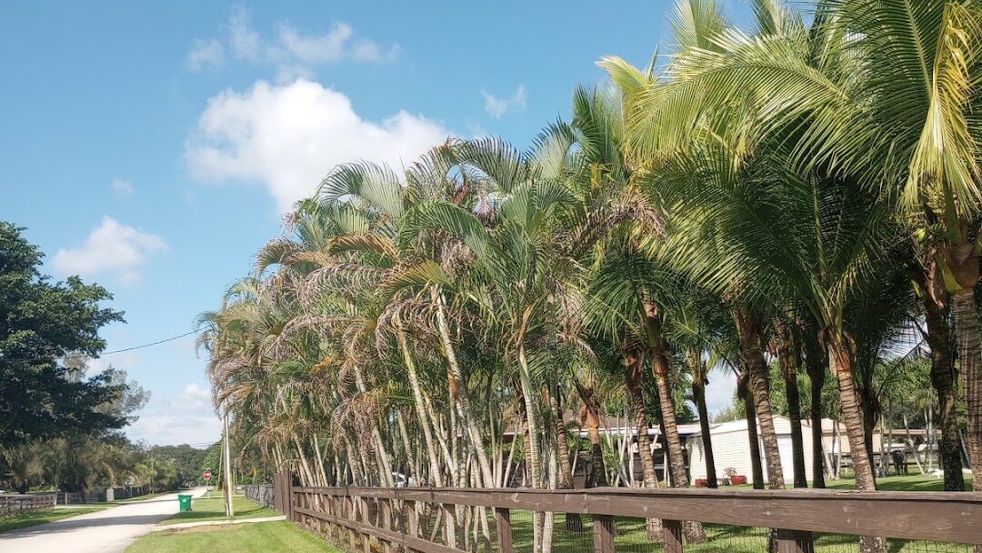 Davie, FL