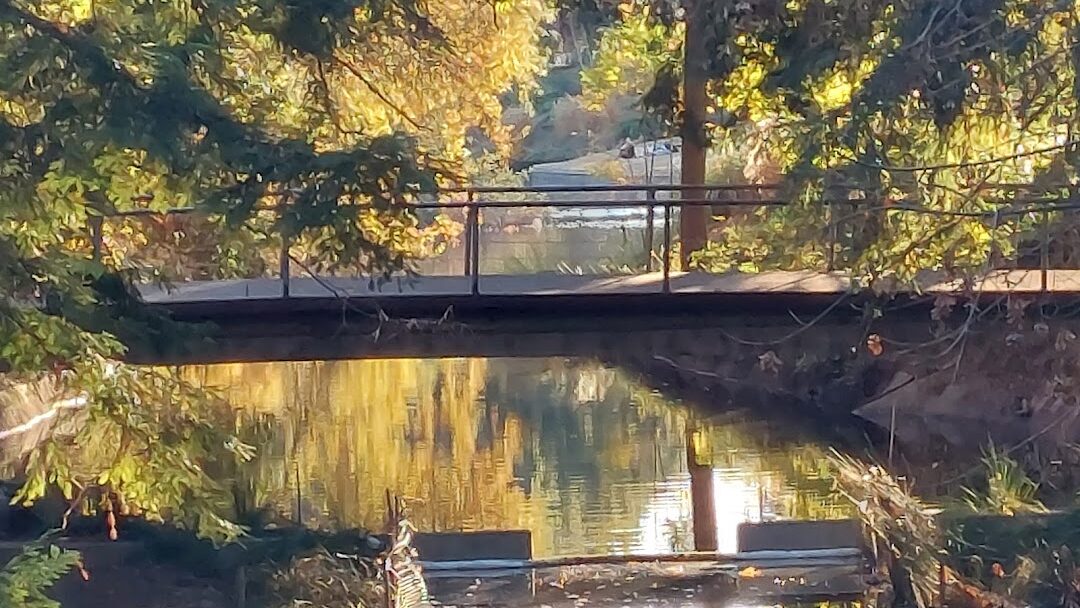 Davis, CA