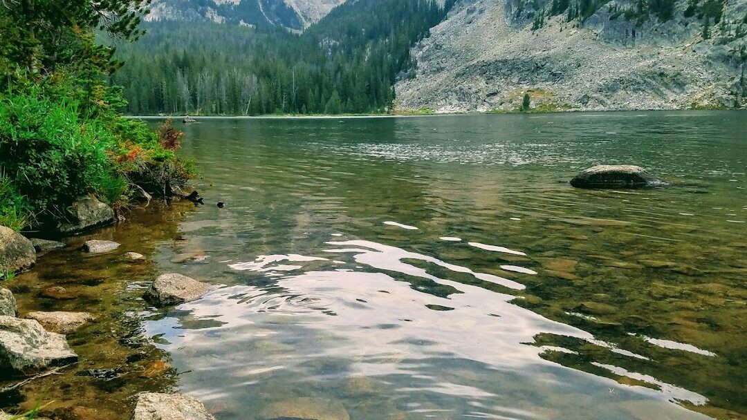 Dillon, MT