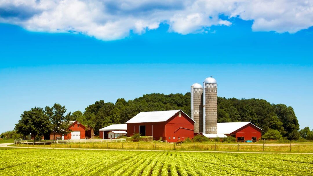 Farmville, VA
