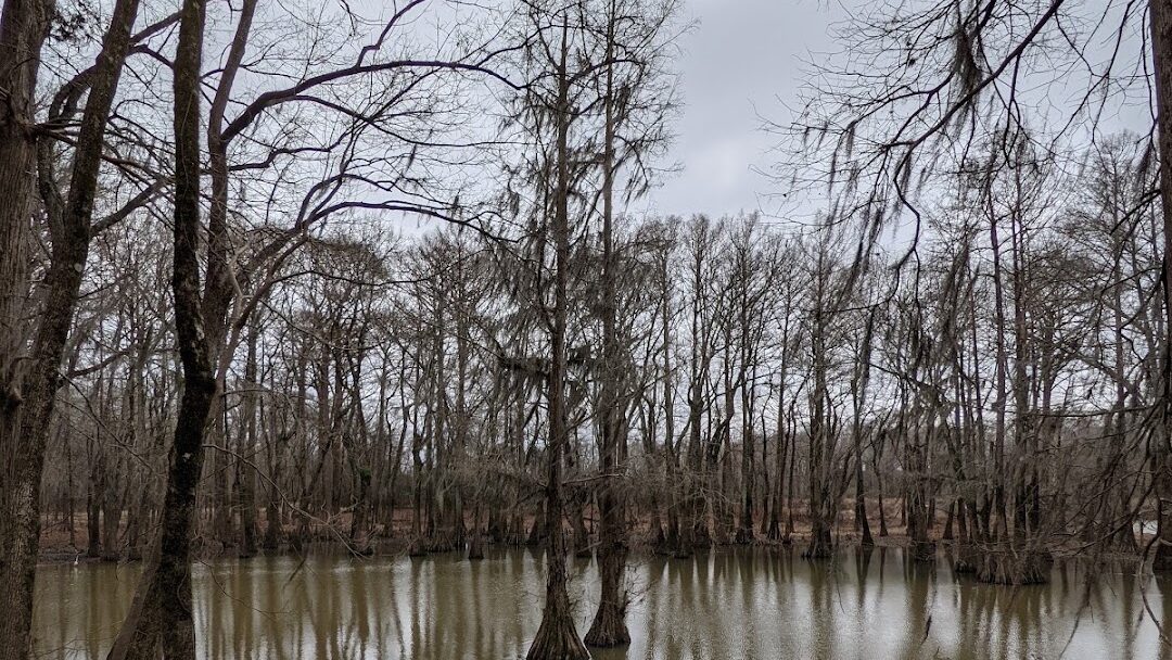Flowood, MS