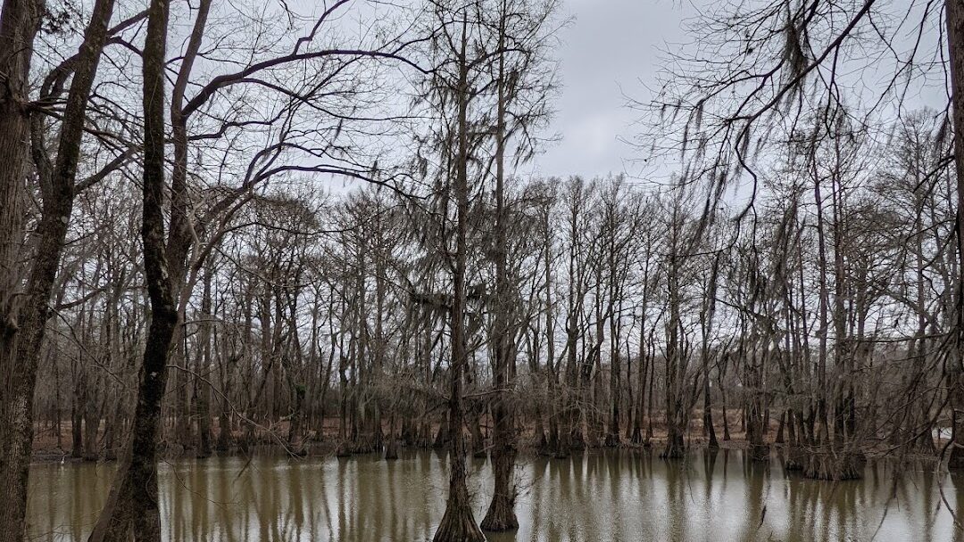 Flowood, MS