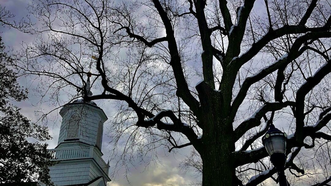 Freehold, NJ
