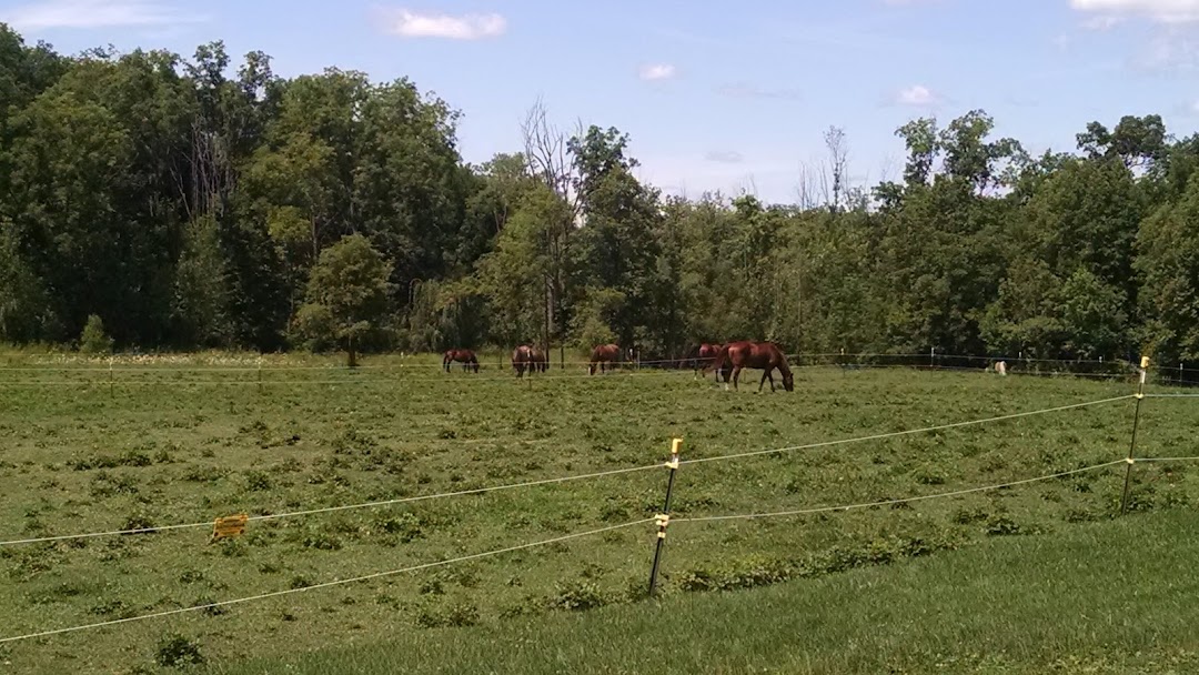 Grand Blanc Twp, MI