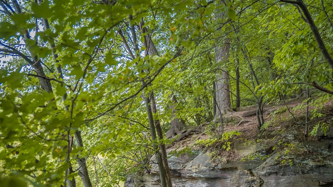 Grand Ledge, MI