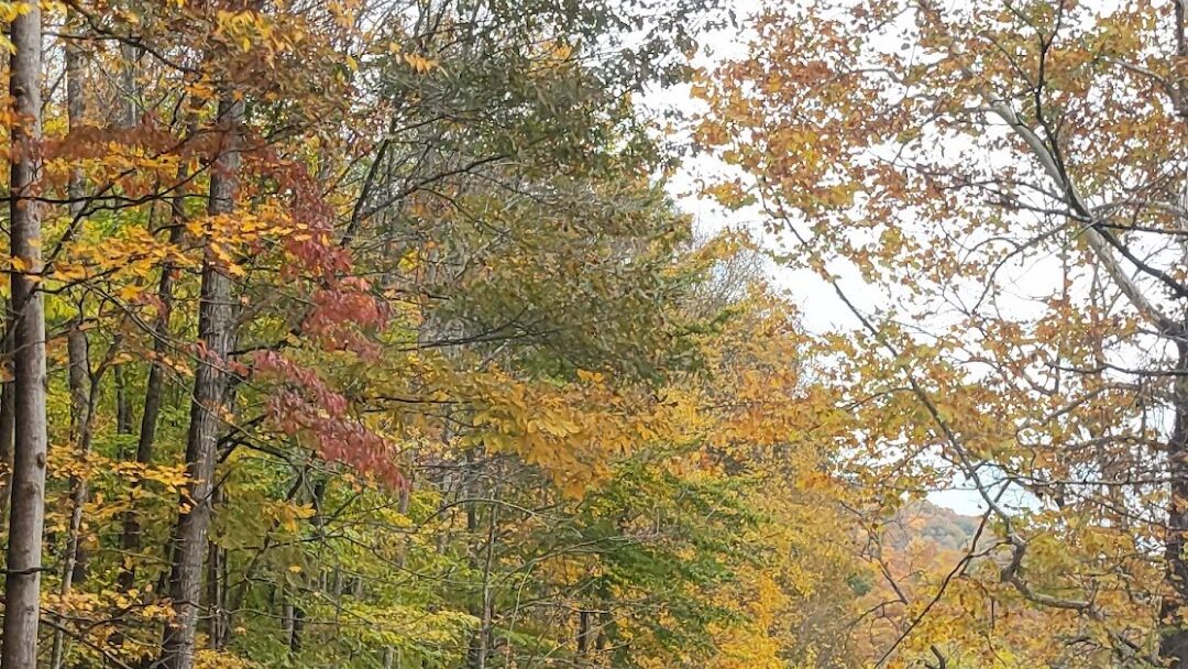Harlan, KY