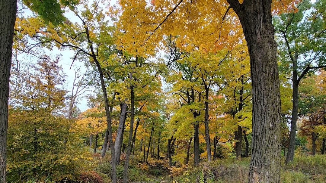 Highland Park, IL