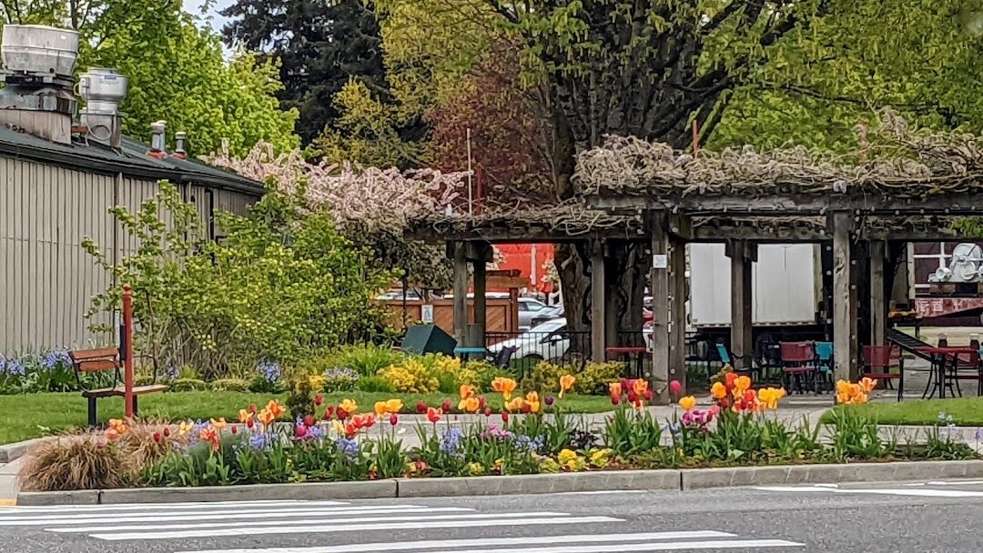 Issaquah, WA