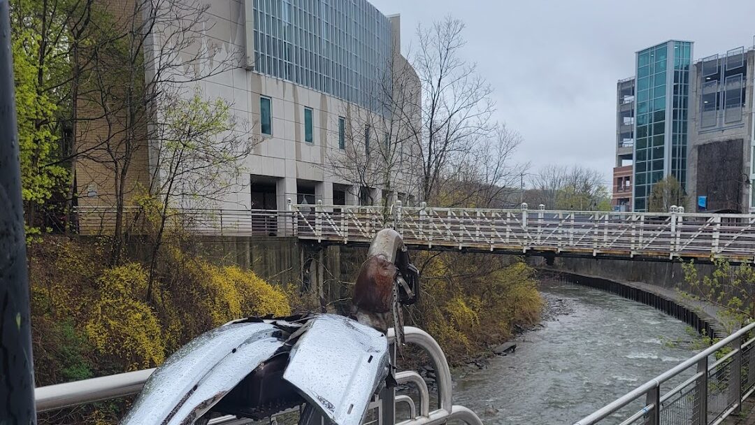 Ithaca, NY