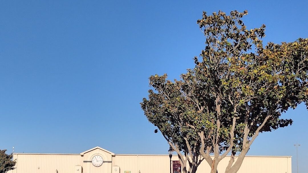 King City, CA