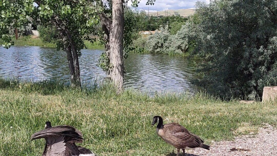 Lakewood, CO