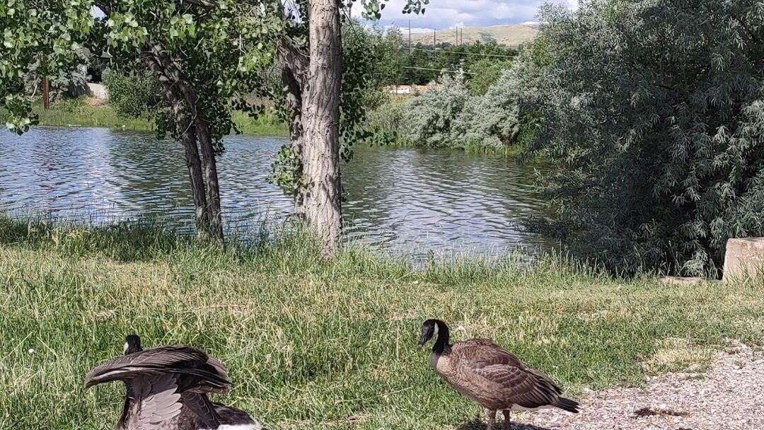 Lakewood, CO