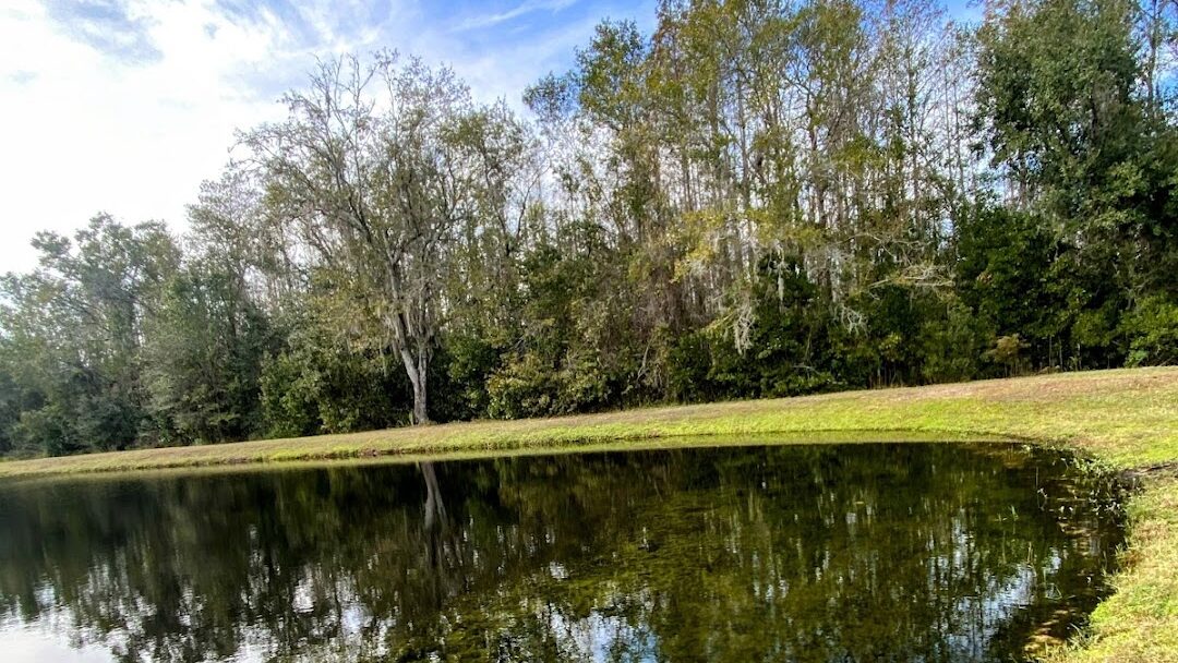 Land O Lakes, FL