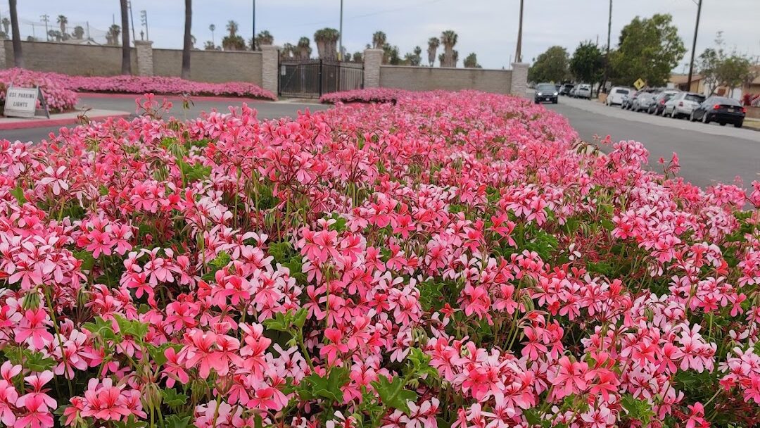 Los Alamitos, CA