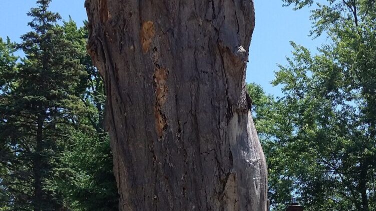 Maplewood, MN