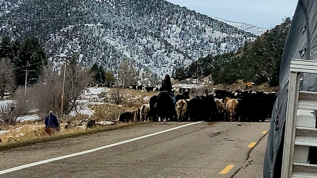 Meeker, CO
