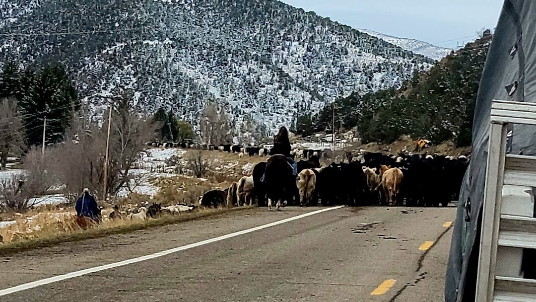 Meeker, CO