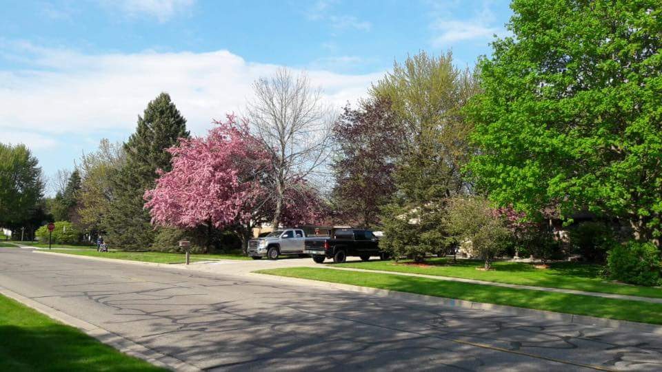 Mount Pleasant, MI