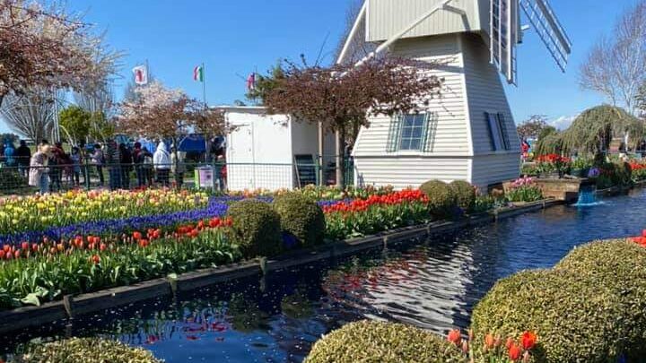 Mt Vernon, WA