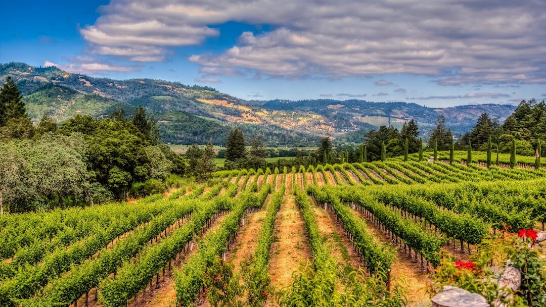 Napa, CA