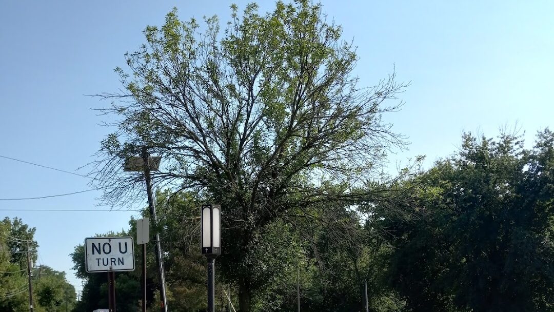 Paramus, NJ