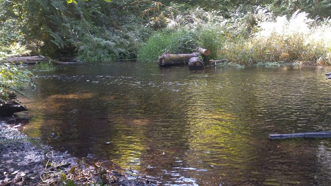 Parkland, WA