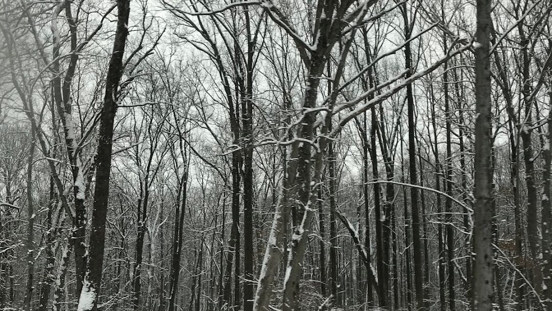 Randallstown, MD