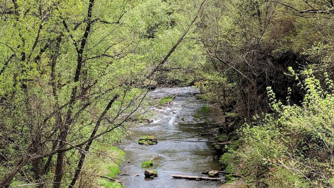 River Falls, WI