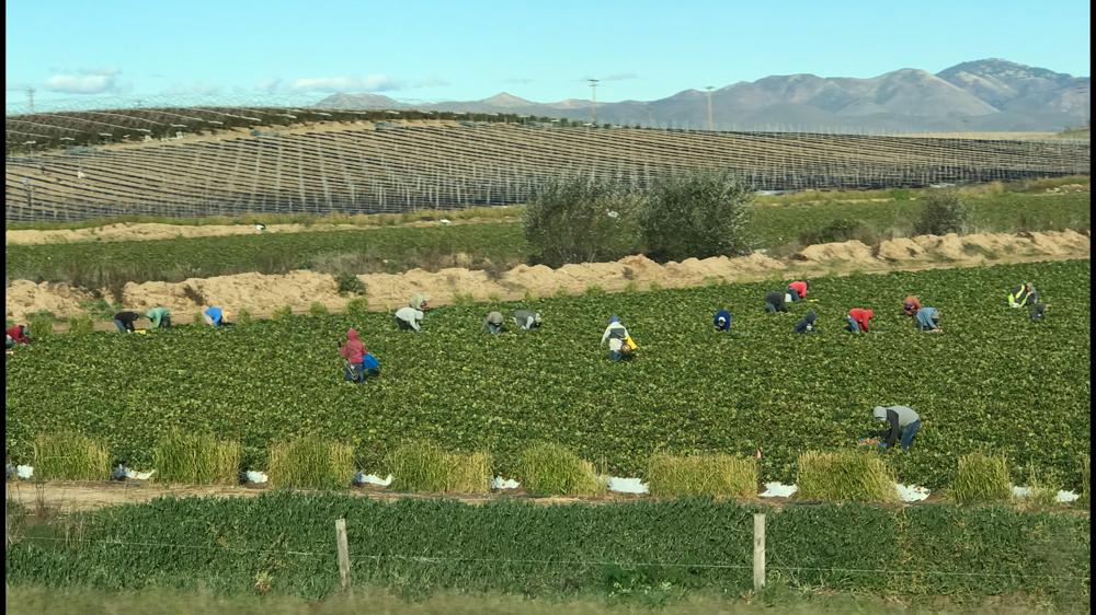 Santa Maria, CA