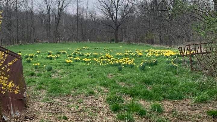 Scottsburg, IN
