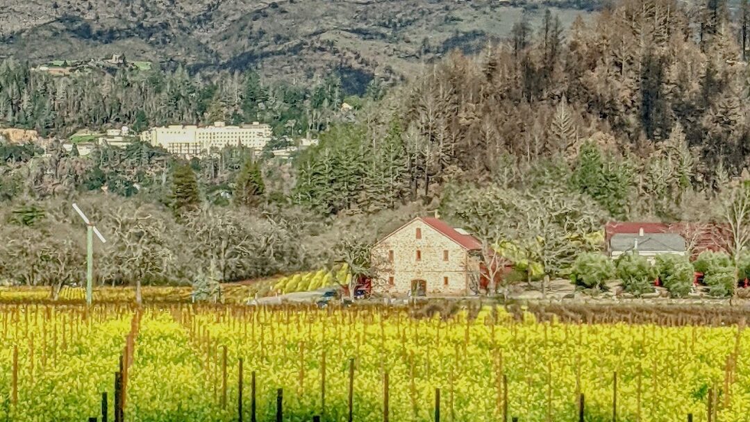 St Helena, CA