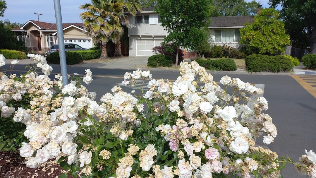 Sunnyvale, CA