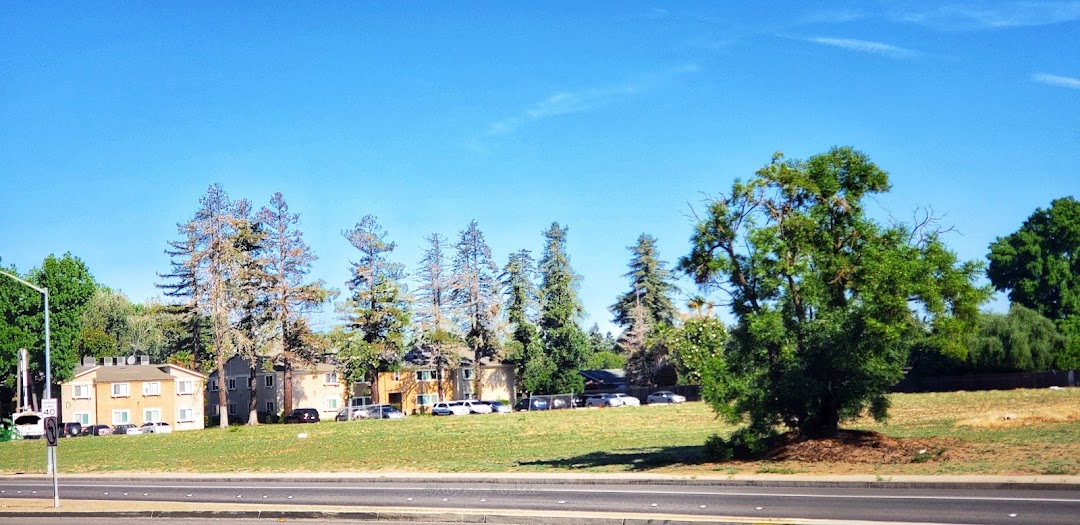 Turlock, CA