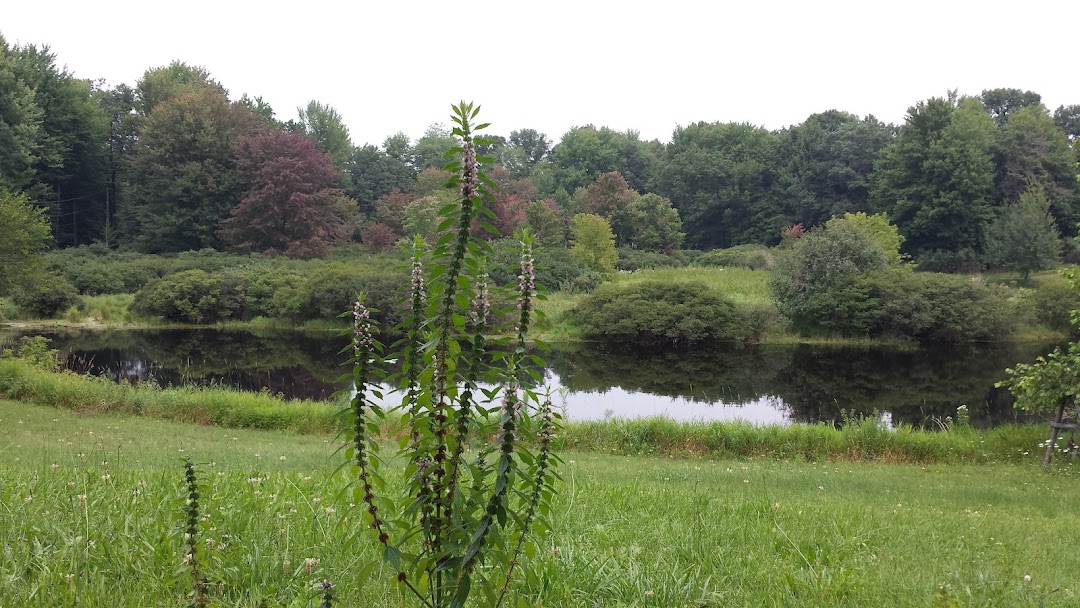 Warren, MI
