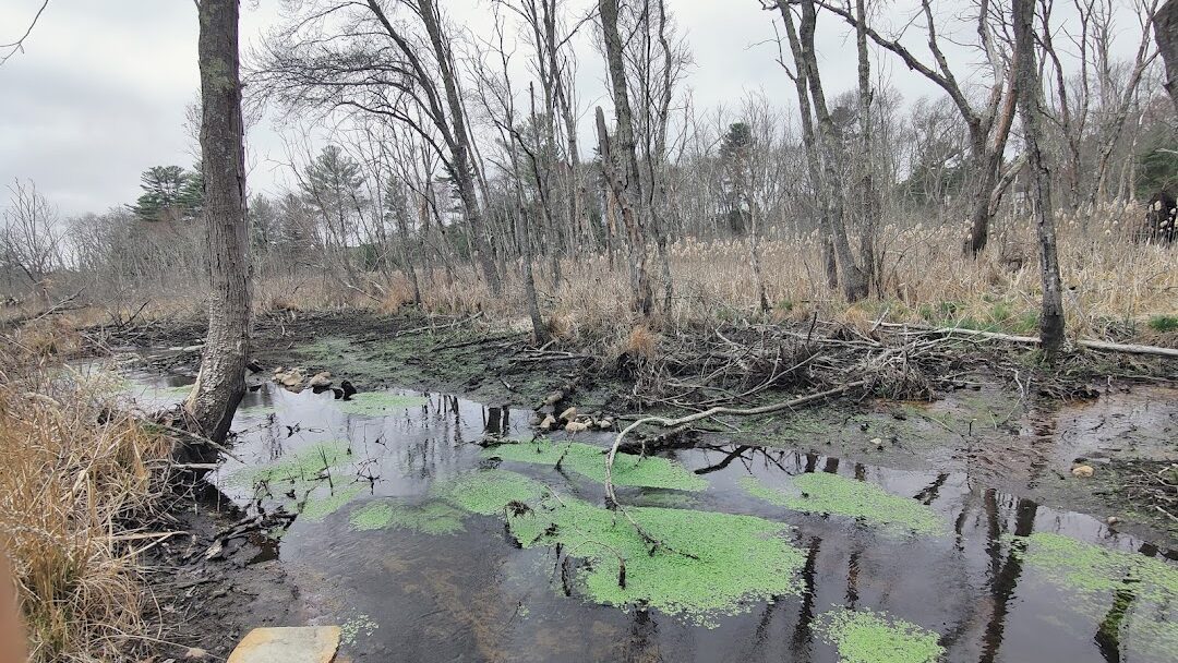 West Bridgewater, MA