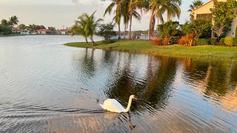 Weston, FL