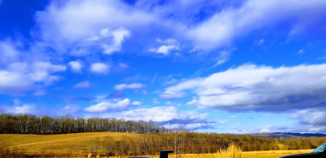 Wytheville, VA